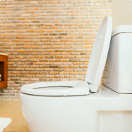 Electronic bidet covers